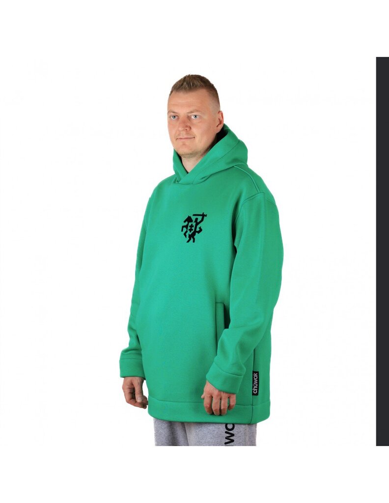 Džemperis vyrams Hoodie Exquisite Line LT Green, žalias kaina ir informacija | Džemperiai vyrams | pigu.lt