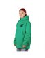 Džemperis vyrams Hoodie Exquisite Line LT Green, žalias kaina ir informacija | Džemperiai vyrams | pigu.lt