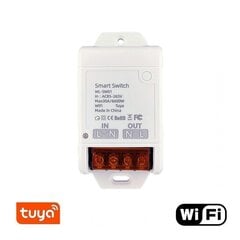 Смарт выключатель Feelspot FS-WB06W Tuya цена и информация | Выключатели, розетки | pigu.lt
