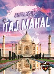 Гравюра Taj Mahal цена и информация | Исторические книги | pigu.lt