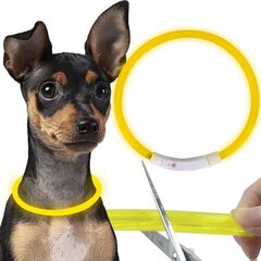 LED antkaklis šunims Purlov, 70x1.2 cm, geltonas kaina ir informacija | Antkakliai, petnešos šunims | pigu.lt