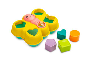 Развивающий сортер-бабочка Toyz, 5 шт. цена и информация | Игрушки для малышей | pigu.lt