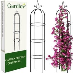 Садовая беседка Gardlov 21029 цена и информация | Садовый палисадник Cellfast 4 Standard 2,3 м графит | pigu.lt