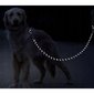 Šviesą atspindintis treniruočių pavadėlis Purlov 21654, 3m цена и информация | Pavadėliai šunims | pigu.lt