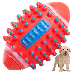 Šunų žaislas Dog Toy, oranžinis kaina ir informacija | Žaislai šunims | pigu.lt