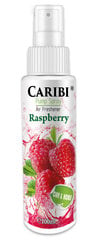 Домашний парфюм  Caribi Raspberry, 100мл цена и информация | Ароматы для дома | pigu.lt