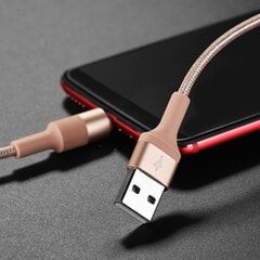 Borofone Cable BX21 Outstanding - USB to Type C - 3A 1 metre gold цена и информация | Кабели для телефонов | pigu.lt