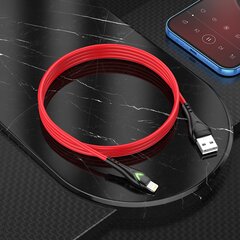 Borofone Cable BX65 Bright - USB to Type C - 2A 1 metre red цена и информация | Кабели для телефонов | pigu.lt