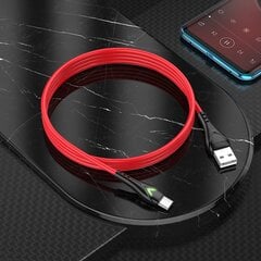 Borofone Cable BX65 Bright - USB to Type C - 2A 1 metre red цена и информация | Кабели для телефонов | pigu.lt