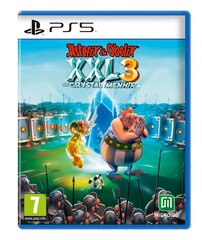 Asterix & Obélix XXL 3 – The Crystal Menhir цена и информация | Компьютерные игры | pigu.lt