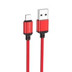 Borofone, USB-A/Lightning, 1 m kaina ir informacija | Kabeliai ir laidai | pigu.lt
