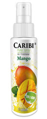 Namų kvapas Caribi Mango, 100ml kaina ir informacija | Namų kvapai | pigu.lt