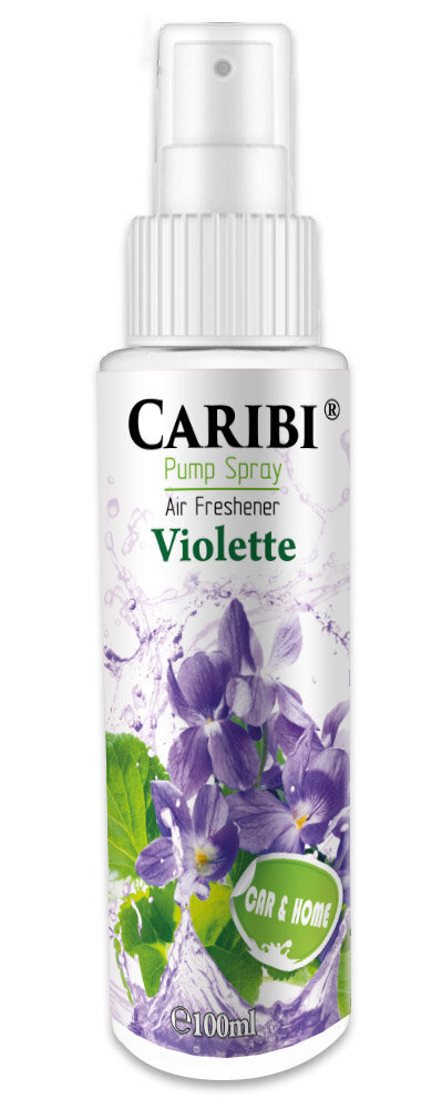 Namų kvapas Caribi Violette, 100ml kaina ir informacija | Namų kvapai | pigu.lt
