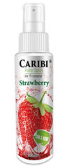 Домашний парфюм  Caribi Strawberry, 100мл цена и информация | Ароматы для дома | pigu.lt