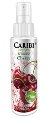 Namų kvapas Caribi Cherry, 100ml kaina ir informacija | Namų kvapai | pigu.lt