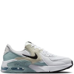 Nike laisvalaikio batai moterims, balti цена и информация | Спортивная обувь, кроссовки для женщин | pigu.lt