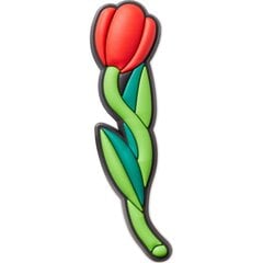 Crocs™  ROSE FLOWER G1043600-MU 246025 цена и информация | Женские тапочки | pigu.lt
