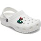 Aksesuaras avalynei Crocs™ 246110, žalias kaina ir informacija | Šlepetės moterims | pigu.lt