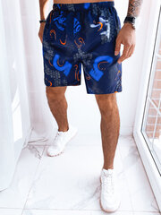 Maudymosi šortai vyrams Pieter SX2289-51295, mėlyni цена и информация | Плавки, плавательные шорты | pigu.lt