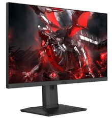 MSI Optix G253PF kaina ir informacija | Monitoriai | pigu.lt