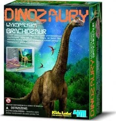 Развивающий набор Раскопки Брахиозавр 4M, 5903794100596 цена и информация | Развивающие игрушки | pigu.lt
