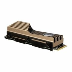 MSI Spatium M570 HS цена и информация | Внутренние жёсткие диски (HDD, SSD, Hybrid) | pigu.lt