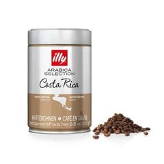 Illy Arabica Selection kavos pupelės Costa Rica, 250g kaina ir informacija | Kava, kakava | pigu.lt