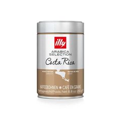 Illy Arabica Selection kavos pupelės Costa Rica, 250g kaina ir informacija | Kava, kakava | pigu.lt