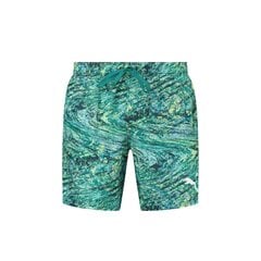 Шорты PUMA SWIM PRINTED MID цена и информация | Плавки, плавательные шорты | pigu.lt