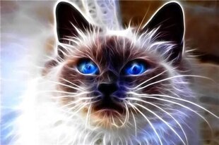 Алмазная мозаика - кошачья магия цена и информация | Алмазная мозаика | pigu.lt
