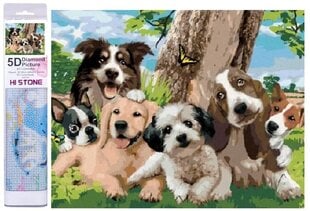 Deimantinė mozaika Norimpex Šunų šeima kaina ir informacija | Deimantinės mozaikos | pigu.lt