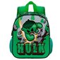 Mokyklinė kuprinė Marvel Avengers Hulk Greenmass 3D цена и информация | Kuprinės mokyklai, sportiniai maišeliai | pigu.lt