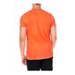 Marškinėliai vyrams Superdry M1010026AB5T, oranžiniai kaina ir informacija | Vyriški marškinėliai | pigu.lt