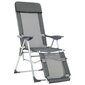 Stovyklavimo kėdės vidaXL, 2 vnt., pilkos цена и информация | Lauko kėdės, foteliai, pufai | pigu.lt
