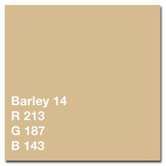 Colorama бумажный фон 1,35x11 м, barley (514) цена и информация | Осветительное оборудование для фотосъемок | pigu.lt