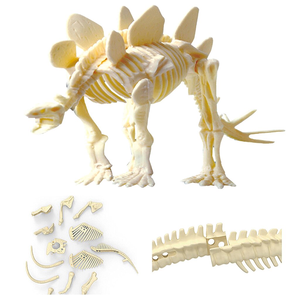 Kūrybinis rinkinys Woopie Dinozauro skeletas kaina ir informacija | Lavinamieji žaislai | pigu.lt