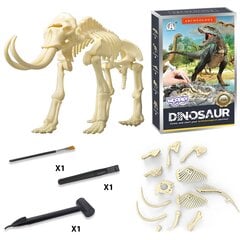 Kūrybinis rinkinys Woopie Dinozauro skeletas. kaina ir informacija | Lavinamieji žaislai | pigu.lt