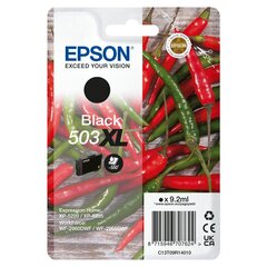 Epson C13T09R14020 цена и информация | Картриджи для струйных принтеров | pigu.lt