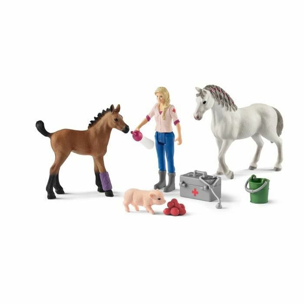 Figūrėlių rinkinys Veterinaro vizitas Schleich Farm World 42486 kaina ir informacija | Žaislai mergaitėms | pigu.lt