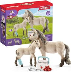 Набор фигурок Schleich Horse Club 42430 цена и информация | Игрушки для девочек | pigu.lt