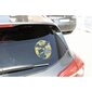 Automobilio lipdukas Batman CZ11068, 20 cm kaina ir informacija | Auto reikmenys | pigu.lt