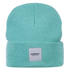 Icepeak kepurė HANAHAN, mėtų žalia kaina ir informacija | Kepurės moterims | pigu.lt