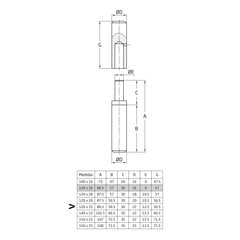 Vyriai 5, 120x22mm, suvirinimui, su guoliu, 2 vnt. kaina ir informacija | Durų lankstai, priedai | pigu.lt