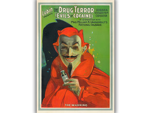 Vintažinis plakatas The Drug Terror kaina ir informacija | Reprodukcijos, paveikslai | pigu.lt