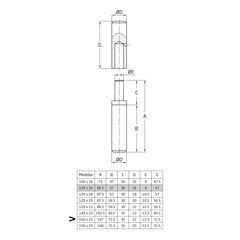 Vyriai 5, 150x22mm, suvirinimui, su guoliu, 2 vnt. kaina ir informacija | Durų lankstai, priedai | pigu.lt