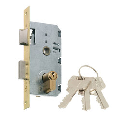 Spyna Mortise lock MCM 2501-250AN311, žalvarinė kaina ir informacija | Spynos | pigu.lt