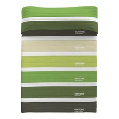 Pantone lovatiesė 240x260 cm kaina ir informacija | Lovatiesės ir pledai | pigu.lt