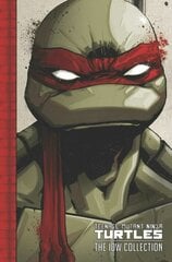 Teenage Mutant Ninja Turtles цена и информация | Фантастика, фэнтези | pigu.lt