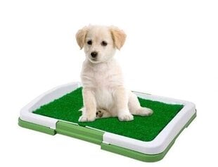 Žolės tualetas šunims Bonya Smile, 34x47x6cm kaina ir informacija | Priežiūros priemonės gyvūnams | pigu.lt