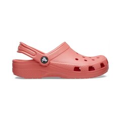Crocs™ Classic Clog Kid's 243847 цена и информация | Детские тапочки, домашняя обувь | pigu.lt